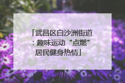 武昌区白沙洲街道：趣味运动“点燃”居民健身热情