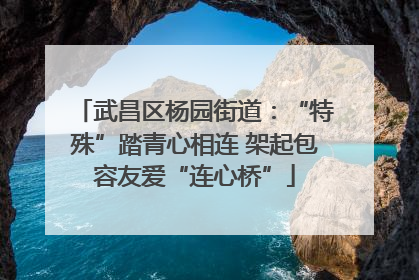 武昌区杨园街道：“特殊”踏青心相连 架起包容友爱“连心桥”