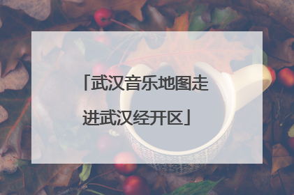 武汉音乐地图走进武汉经开区