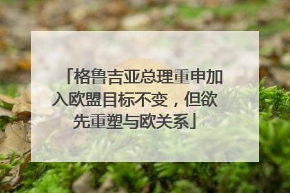 格鲁吉亚总理重申加入欧盟目标不变，但欲先重塑与欧关系