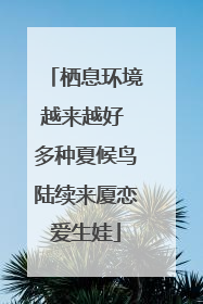 栖息环境越来越好 多种夏候鸟陆续来厦恋爱生娃
