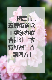 栖霞市：翠屏街道党工委领办联合社让“农特好品”香飘四方