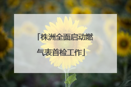 株洲全面启动燃气表首检工作