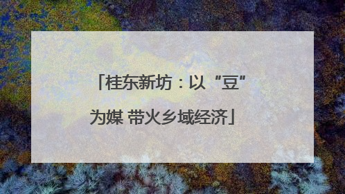 桂东新坊：以“豆”为媒 带火乡域经济