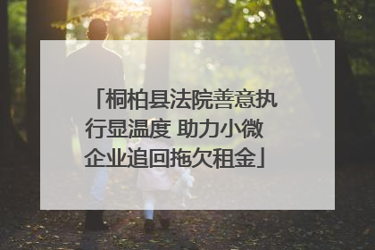 桐柏县法院善意执行显温度 助力小微企业追回拖欠租金