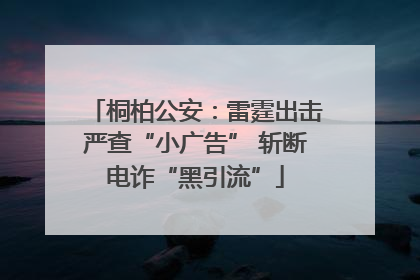桐柏公安：雷霆出击严查“小广告” 斩断电诈“黑引流”