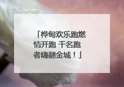 桦甸欢乐跑燃情开跑 千名跑者嗨翻金城！
