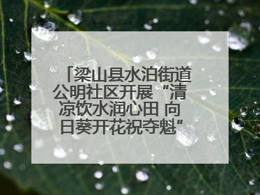 梁山县水泊街道公明社区开展“清凉饮水润心田 向日葵开花祝夺魁”助考活动