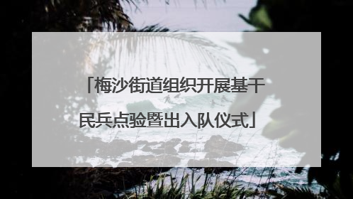 梅沙街道组织开展基干民兵点验暨出入队仪式