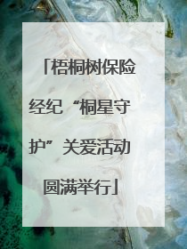 梧桐树保险经纪“桐星守护”关爱活动圆满举行