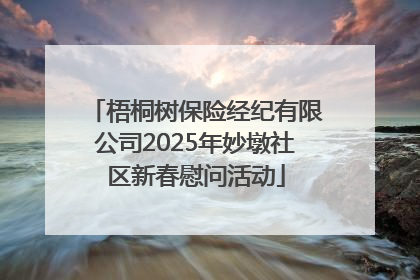 梧桐树保险经纪有限公司2025年妙墩社区新春慰问活动