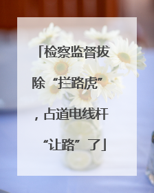 检察监督拔除“拦路虎”，占道电线杆“让路”了