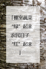 棚室蔬菜“绿”起来 农民日子“红”起来