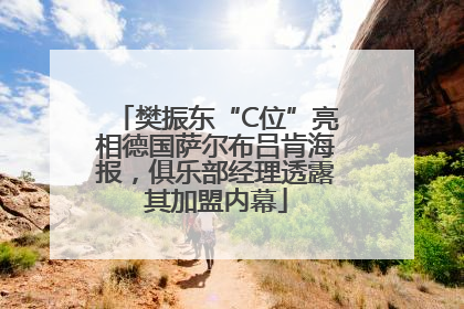樊振东“C位”亮相德国萨尔布吕肯海报，俱乐部经理透露其加盟内幕