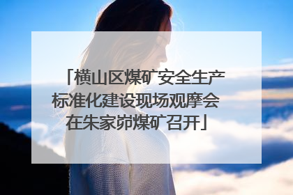 横山区煤矿安全生产标准化建设现场观摩会在朱家峁煤矿召开