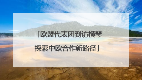 欧盟代表团到访横琴 探索中欧合作新路径