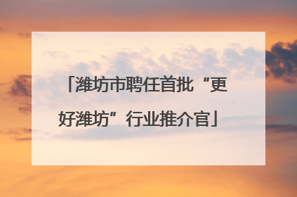 潍坊市聘任首批“更好潍坊”行业推介官