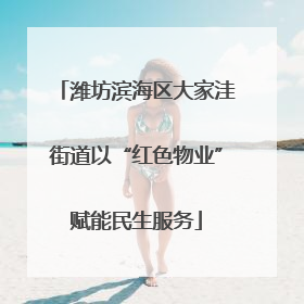 潍坊滨海区大家洼街道以“红色物业”赋能民生服务