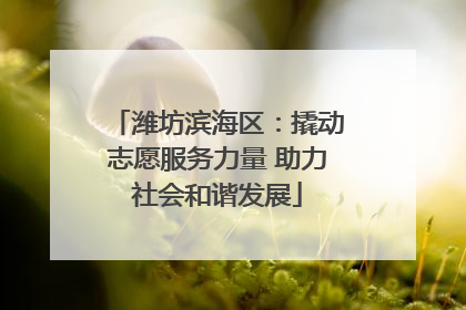 潍坊滨海区：撬动志愿服务力量 助力社会和谐发展