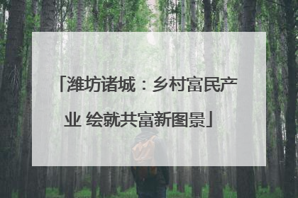 潍坊诸城：乡村富民产业 绘就共富新图景