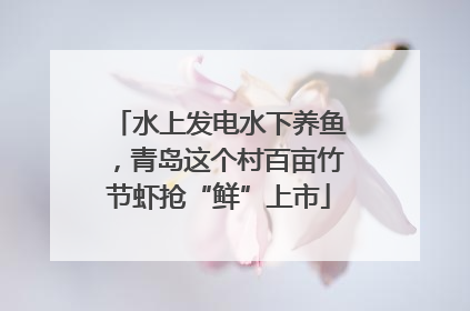水上发电水下养鱼，青岛这个村百亩竹节虾抢“鲜”上市