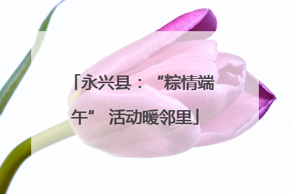 永兴县：“粽情端午” 活动暖邻里