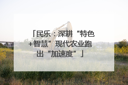 民乐：深耕“特色+智慧”现代农业跑出“加速度”