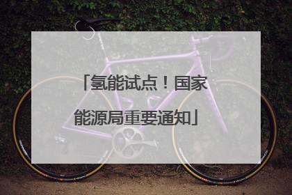 氢能试点！国家能源局重要通知