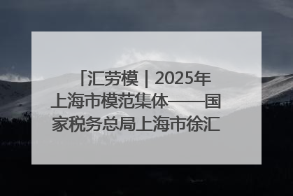 汇劳模｜2025年上海市模范集体——国家税务总局上海市徐汇区税务局第一税务所