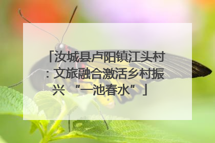 汝城县卢阳镇江头村：文旅融合激活乡村振兴 “一池春水”