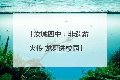汝城四中：非遗薪火传 龙舞进校园