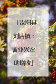 汝阳县刘店镇：薯业兴农助增收