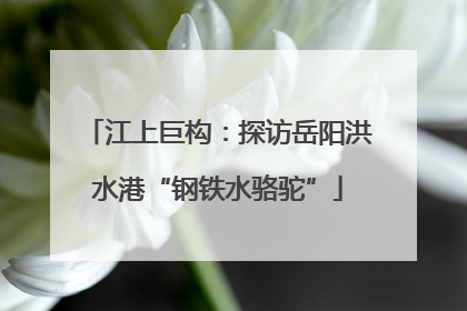 江上巨构：探访岳阳洪水港“钢铁水骆驼”