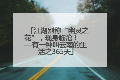 江湖别称“幽灵之花”，现身临沧！——有一种叫云南的生活之365天