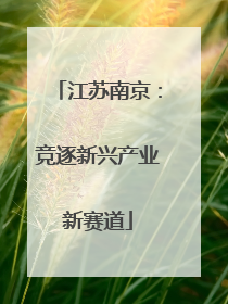 江苏南京：竞逐新兴产业新赛道