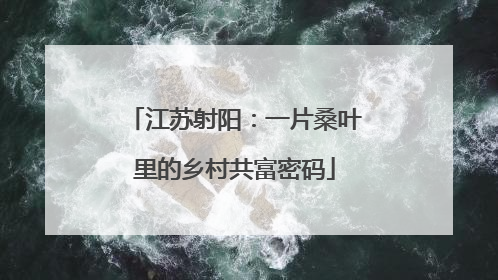 江苏射阳：一片桑叶里的乡村共富密码