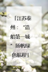 江苏泰州：“造船第一城”扬帆绿色航程