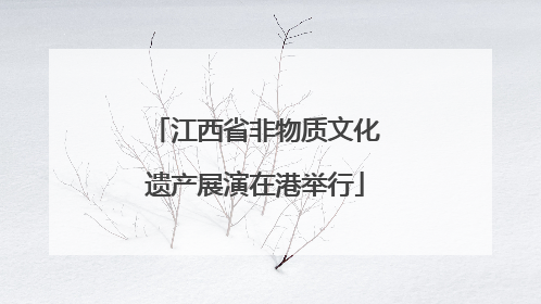 江西省非物质文化遗产展演在港举行