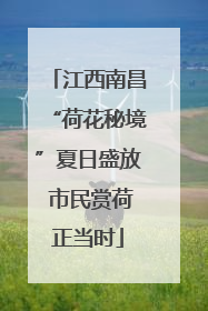江西南昌“荷花秘境”夏日盛放 市民赏荷正当时
