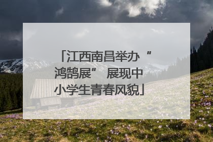 江西南昌举办“鸿鹄展” 展现中小学生青春风貌