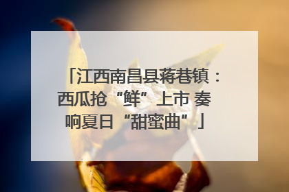 江西南昌县蒋巷镇：西瓜抢“鲜”上市 奏响夏日“甜蜜曲”