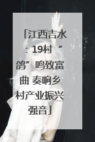 江西吉水：19村“鸽”鸣致富曲 奏响乡村产业振兴强音