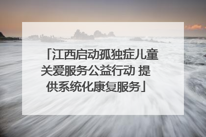 江西启动孤独症儿童关爱服务公益行动 提供系统化康复服务