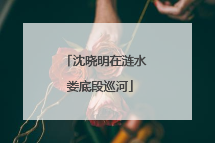 沈晓明在涟水娄底段巡河