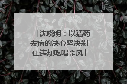 沈晓明：以猛药去疴的决心坚决刹住违规吃喝歪风