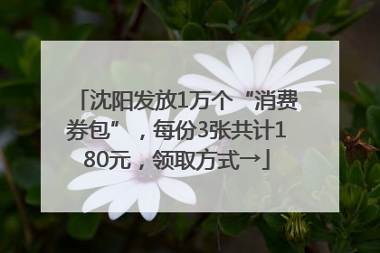 沈阳发放1万个“消费券包”，每份3张共计180元，领取方式→