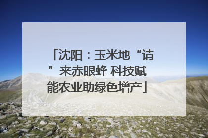沈阳：玉米地“请”来赤眼蜂 科技赋能农业助绿色增产