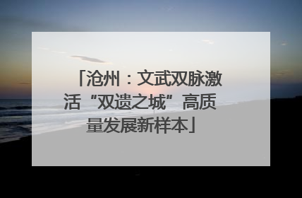 沧州：文武双脉激活“双遗之城”高质量发展新样本