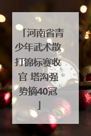 河南省青少年武术散打锦标赛收官 塔沟强势摘40冠