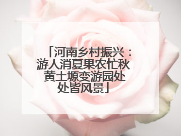 河南乡村振兴：游人消夏果农忙秋 黄土塬变游园处处皆风景